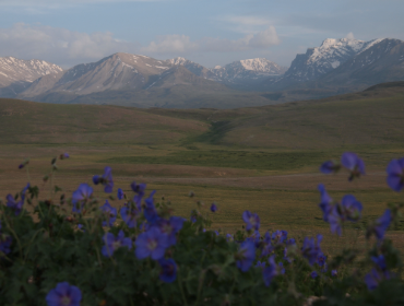 Deosai Plateau