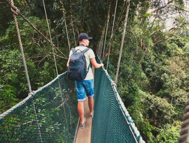 Ulu Temburong Canopy Walkway